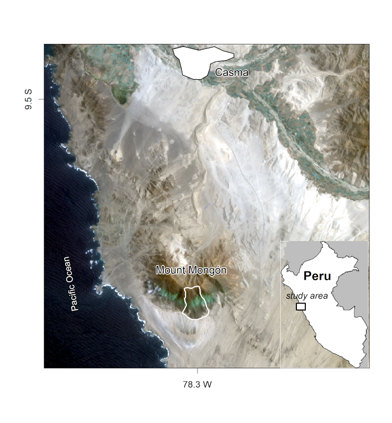 The Mt. Mongón study area, from Muenchow, Schratz, and Brenning (2017).